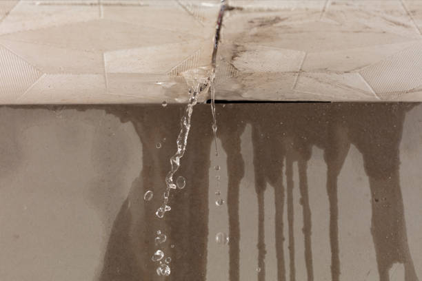 Professional Structural Drying technician working in Litchfield, MI